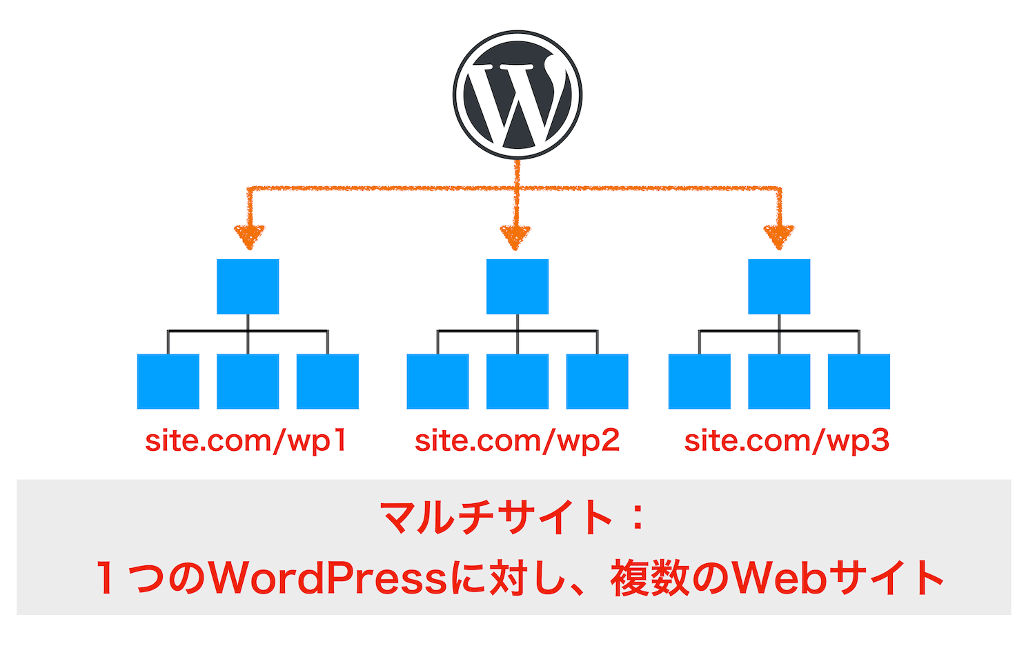 マルチサイトの構造